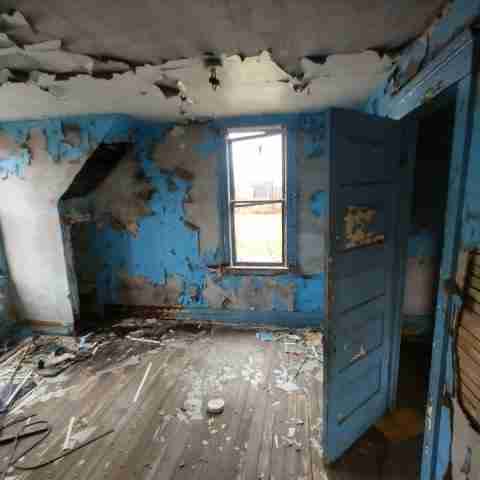 8031 conger (39).jpg